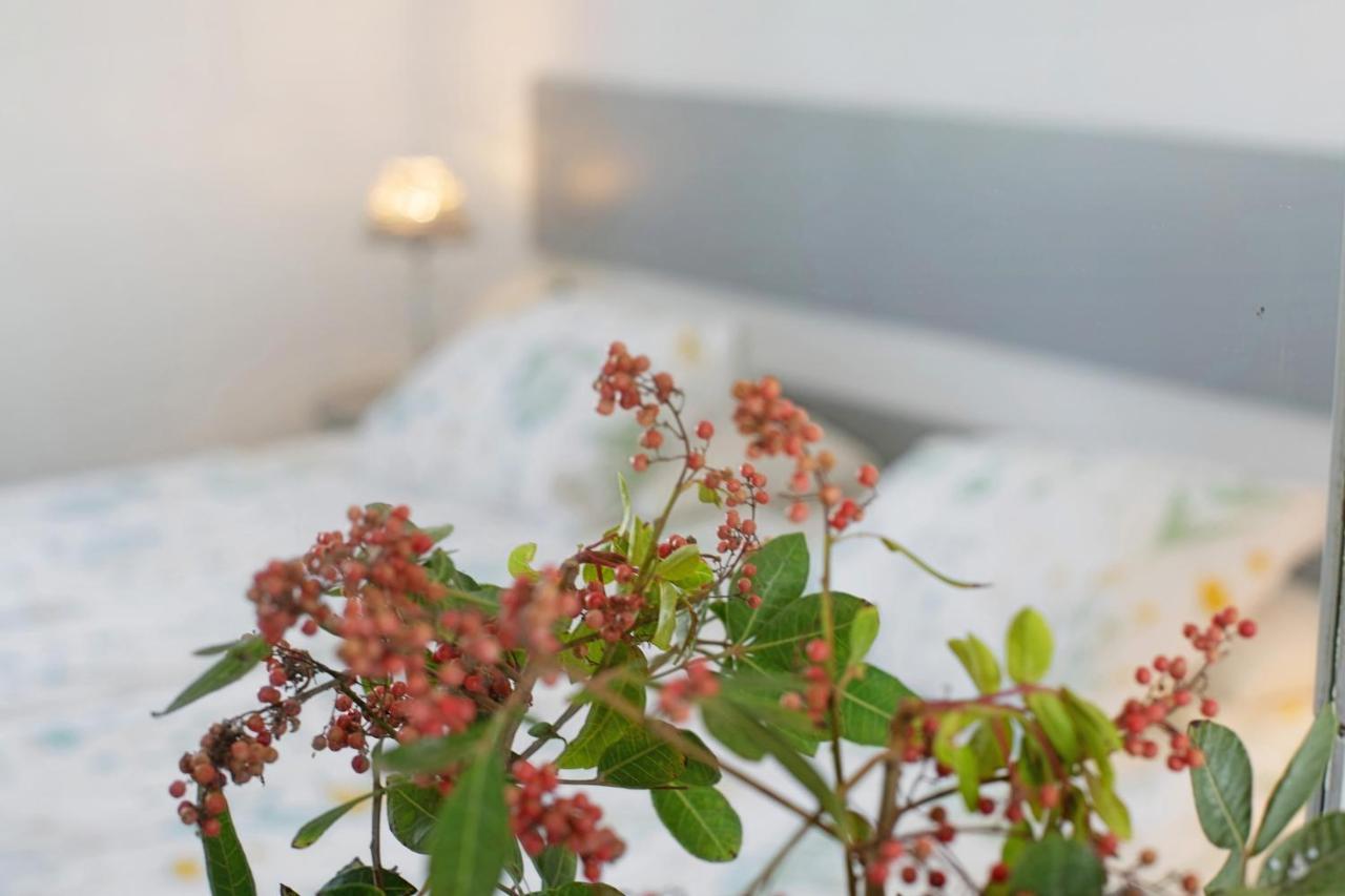 Jardin Del Sol 2 Apartment Плая Бланка Екстериор снимка